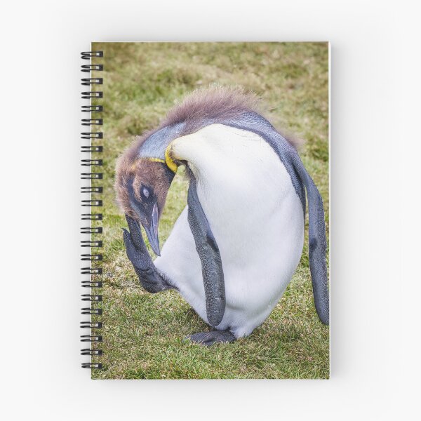 Item preview, Juvenile King Penguin Preening South Georgia Island designed and sold by PhotoArt by Joan Carroll.