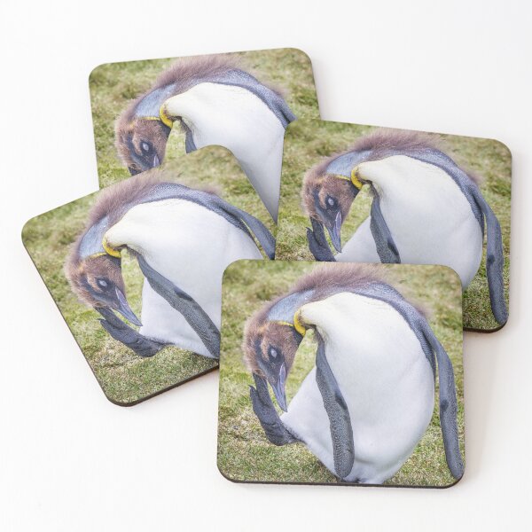 Item preview, Juvenile King Penguin Preening South Georgia Island designed and sold by PhotoArt by Joan Carroll.