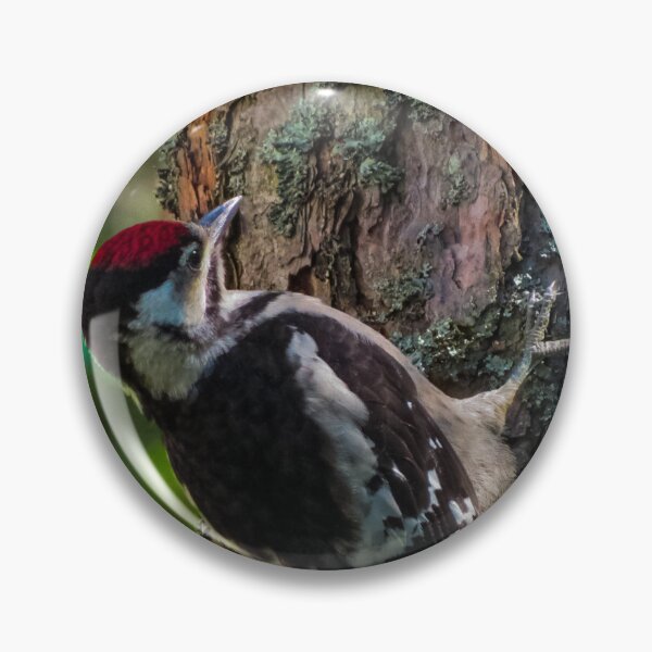 Item preview, Great spotted woodpecker  designed and sold by Naguss.