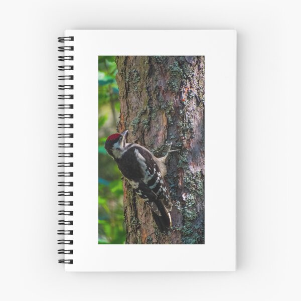 Item preview, Great spotted woodpecker  designed and sold by Naguss.