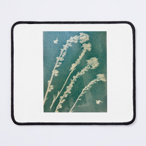 Item preview, Cyanotype #1 designed and sold by Bookworm Illustration.