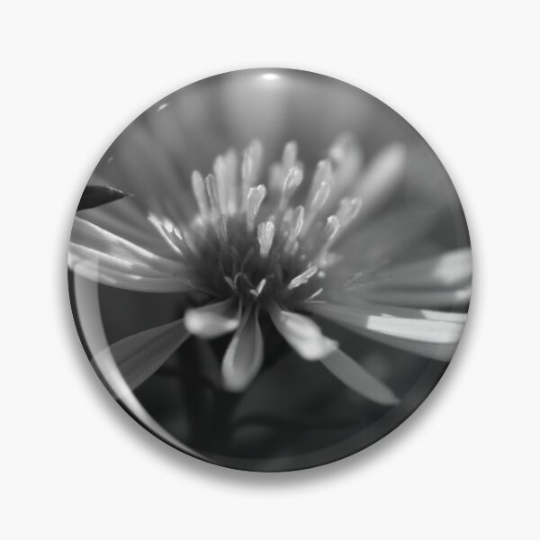 Item preview, Morning Black and White Aster designed and sold by OliviaDorgan02.
