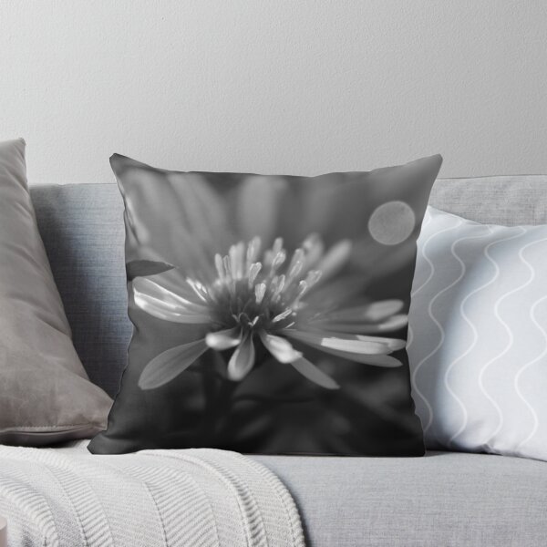 Item preview, Morning Black and White Aster designed and sold by OliviaDorgan02.