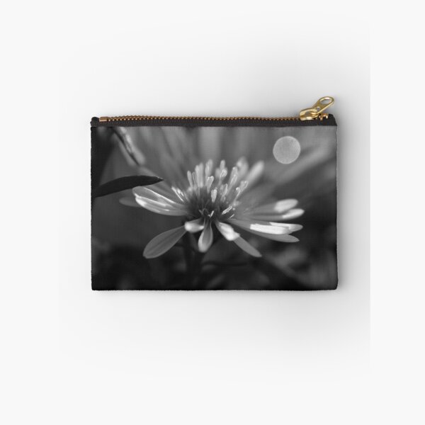 Item preview, Morning Black and White Aster designed and sold by OliviaDorgan02.