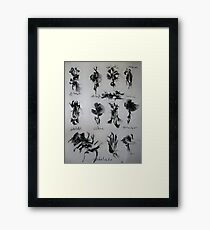 MIXED FORMS OF THE NATURE Framed Print