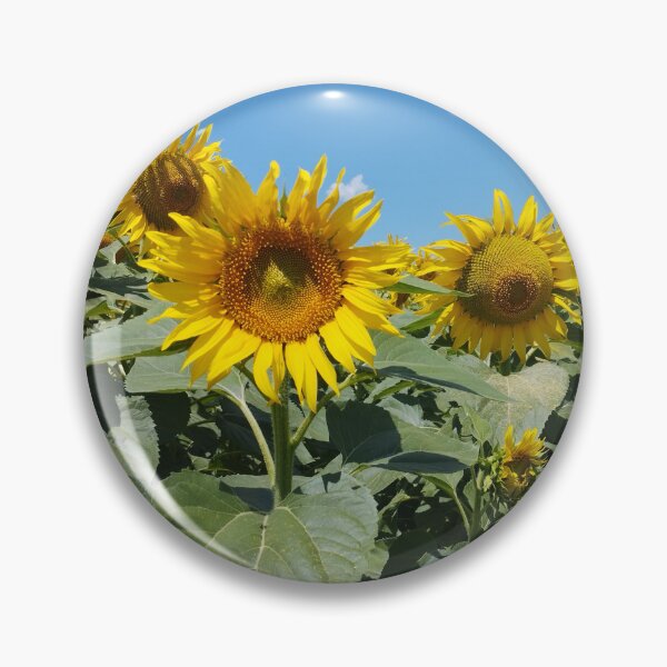 Item preview, Sunny Blooming Sunflowers designed and sold by inspiration3.