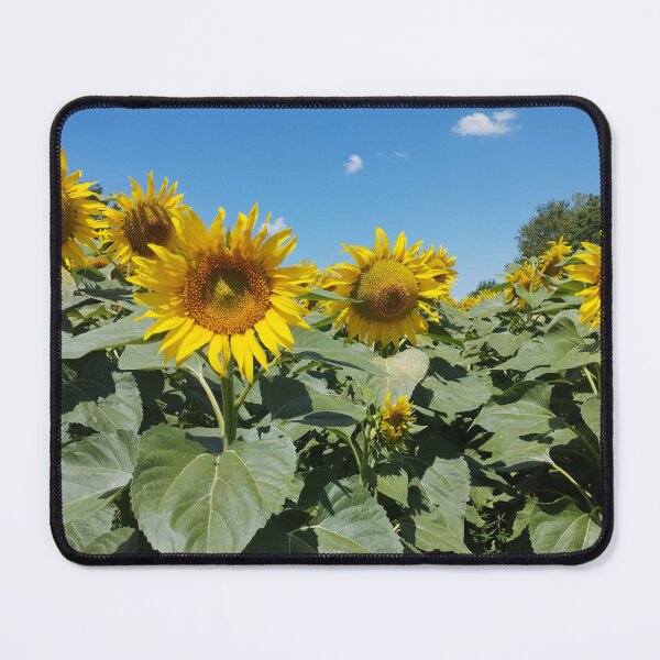 Item preview, Sunny Blooming Sunflowers designed and sold by inspiration3.