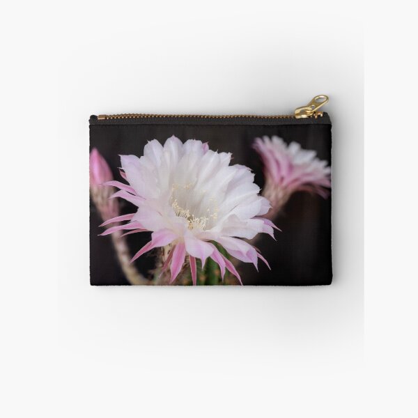 Item preview, Delicate Cactus Blossom  designed and sold by Kasia Design.