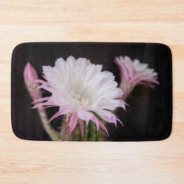 Item preview, Delicate Cactus Blossom  designed and sold by Kasia Design.
