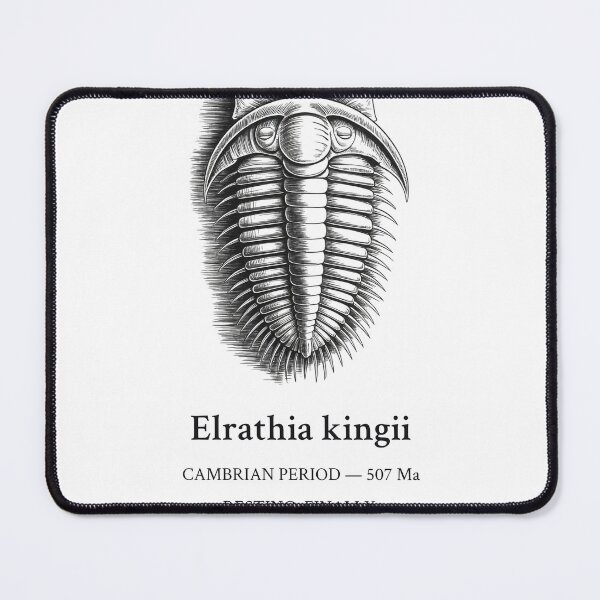 Item preview, Trilobite Fossil Collector designed and sold by Department of Obscure Studies.