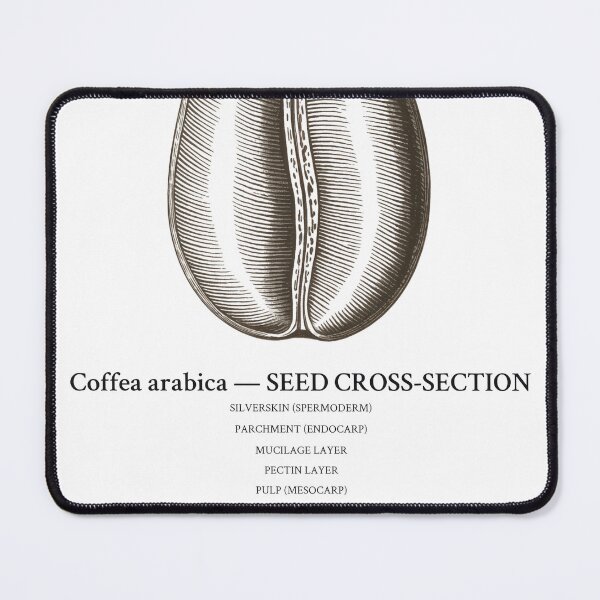 Item preview, Coffee Bean Cross Section Diagram Shirt designed and sold by Department of Obscure Studies.