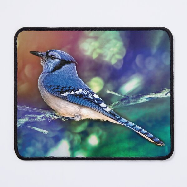Item preview, Blue Jay Bokeh designed and sold by Kay Brewer.