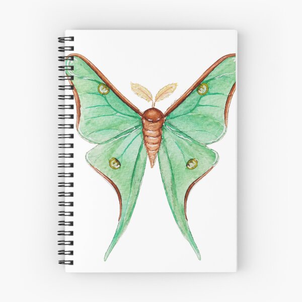 Item preview, Vintage Watercolor Moon Moth Illustration designed and sold by Mvicen.