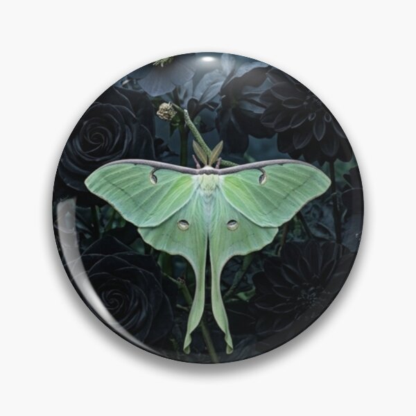 Item preview, Midnight Luna Moth Garden designed and sold by NocturnBotany.
