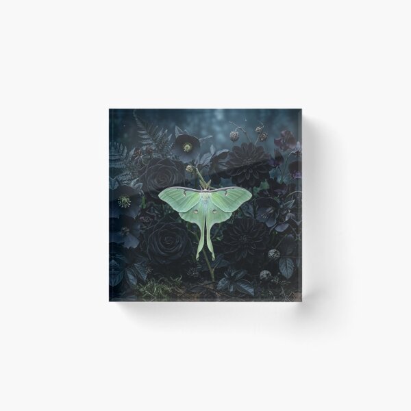Item preview, Midnight Luna Moth Garden designed and sold by NocturnBotany.
