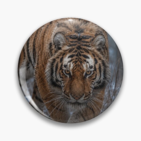 Item preview, Tiger on the Hunt in Winter designed and sold by nikkolaus.