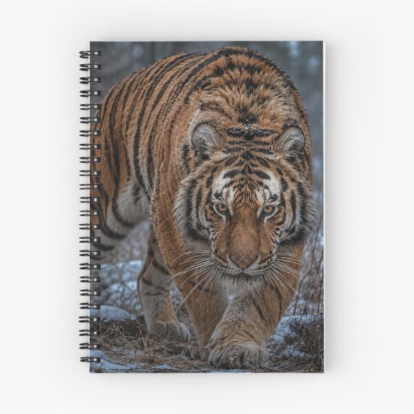 Item preview, Tiger on the Hunt in Winter designed and sold by nikkolaus.