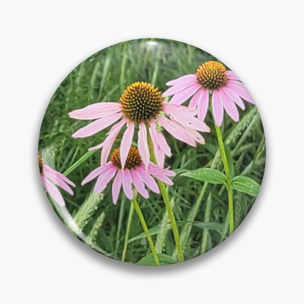 Item preview, Purple coneflower (Echinacea) designed and sold by MauraAlwyen.