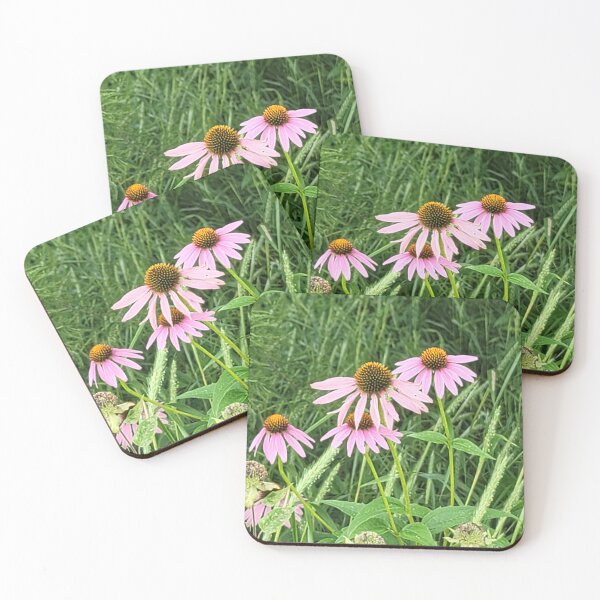 Item preview, Purple coneflower (Echinacea) designed and sold by MauraAlwyen.