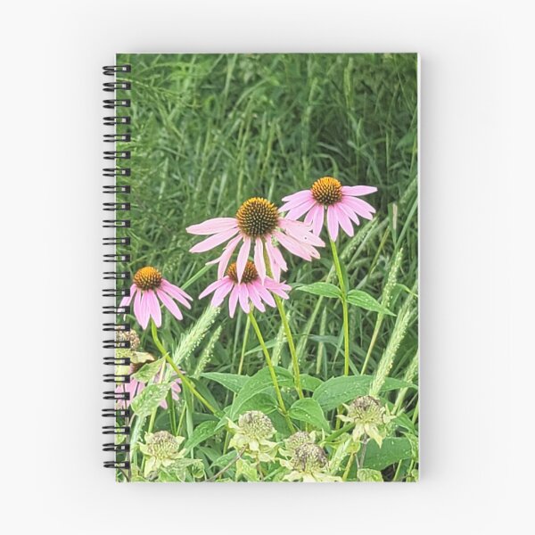 Item preview, Purple coneflower (Echinacea) designed and sold by MauraAlwyen.