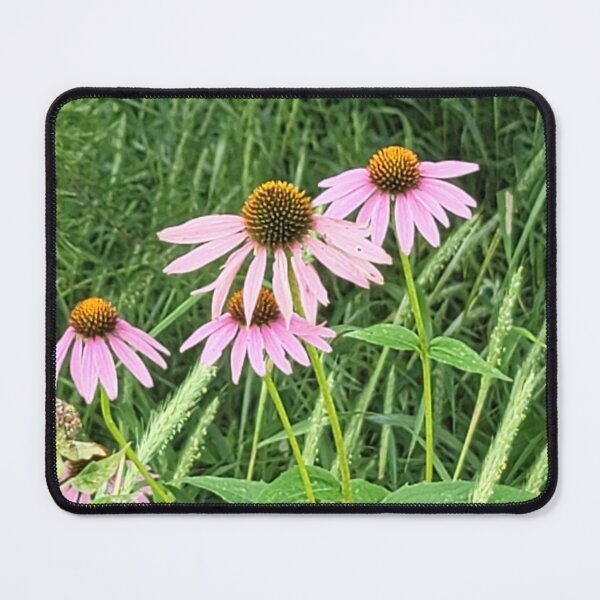 Item preview, Purple coneflower (Echinacea) designed and sold by MauraAlwyen.