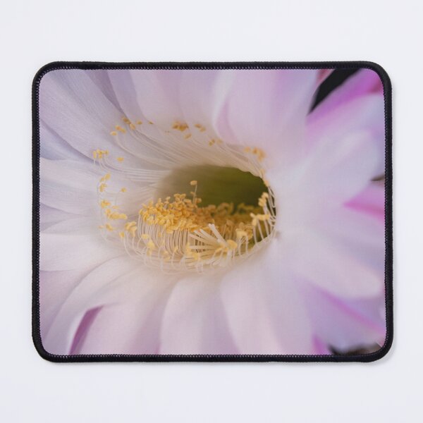 Item preview, Soft at Heart designed and sold by Kasia Design.