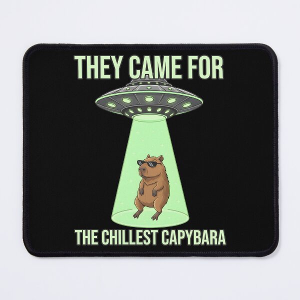 Item preview, They Came For The Chillest Capybara Alien Flying Saucers designed and sold by at85productions.