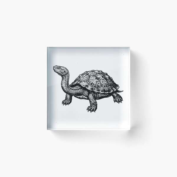 Item preview, Vintage Woodcut Snake-necked Turtle Illustration designed and sold by DuckOddity.