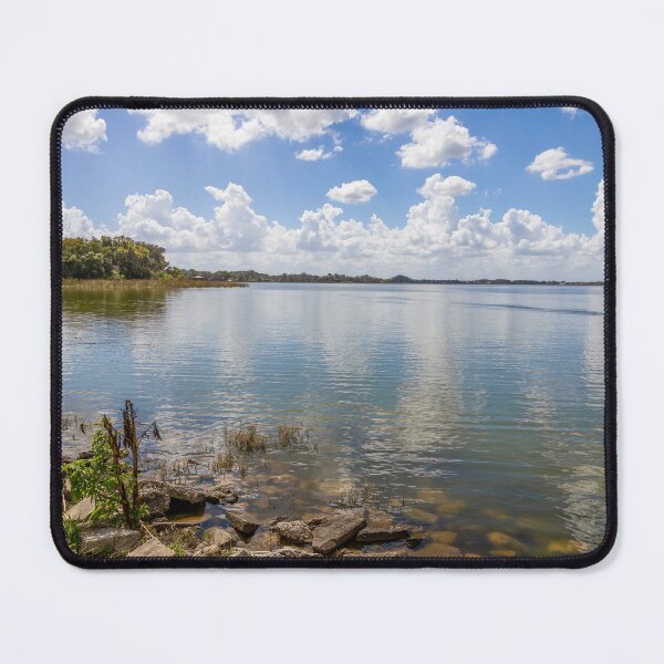 Item preview, Serene Lake View at Gilbert Park, Mount Dora, Florida designed and sold by jrtwynam.