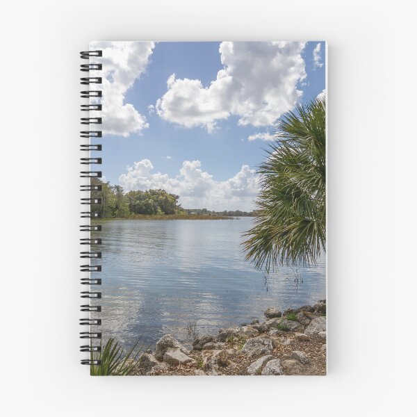 Item preview, Serene Lakefront View with Palm Trees in Mount Dora, Florida designed and sold by jrtwynam.
