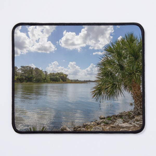 Item preview, Serene Lakefront View with Palm Trees in Mount Dora, Florida designed and sold by jrtwynam.
