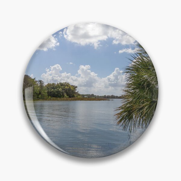 Item preview, Serene Lakefront View with Palm Trees in Mount Dora, Florida designed and sold by jrtwynam.