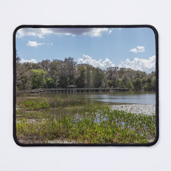 Item preview, Scenic Boardwalk Overlooking Palm Island Park, Mount Dora designed and sold by jrtwynam.