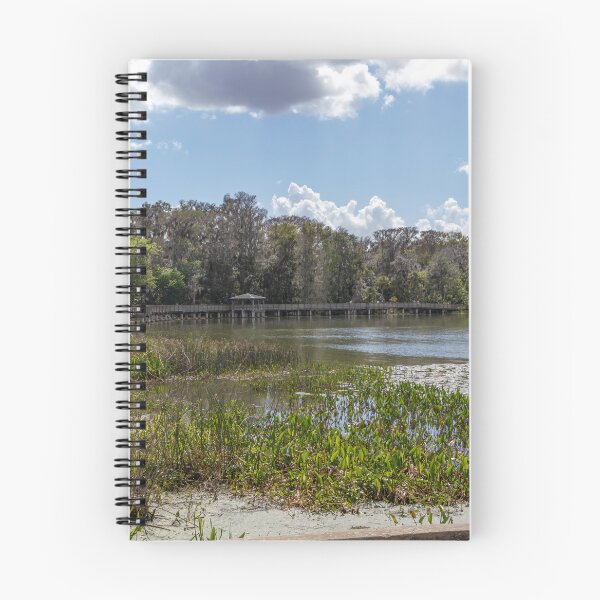 Item preview, Scenic Boardwalk Overlooking Palm Island Park, Mount Dora designed and sold by jrtwynam.