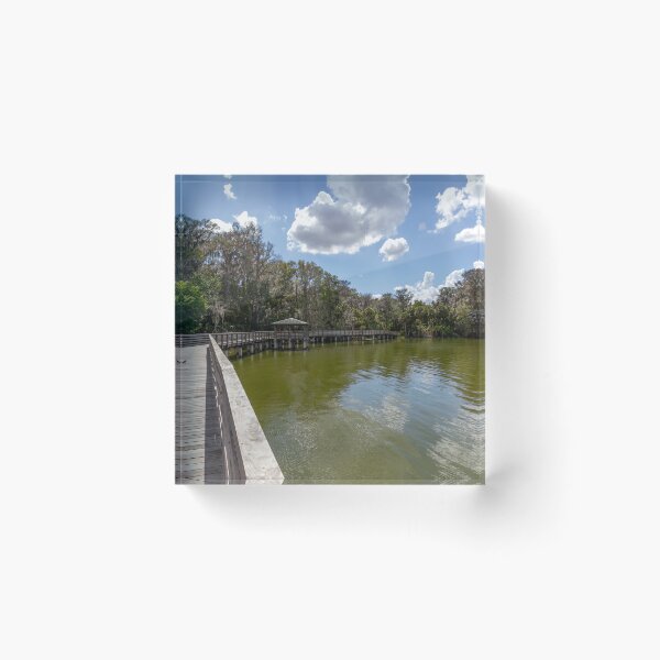 Item preview, Scenic Boardwalk at Palm Island Park, Mount Dora, Florida designed and sold by jrtwynam.