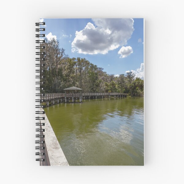 Item preview, Scenic Boardwalk at Palm Island Park, Mount Dora, Florida designed and sold by jrtwynam.