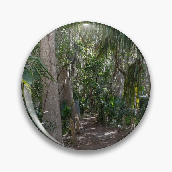 Item preview, Scenic Nature Trail in Palm Island Park, Mount Dora, Florida designed and sold by jrtwynam.