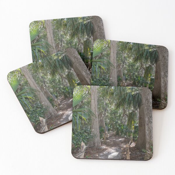 Item preview, Scenic Nature Trail in Palm Island Park, Mount Dora, Florida designed and sold by jrtwynam.
