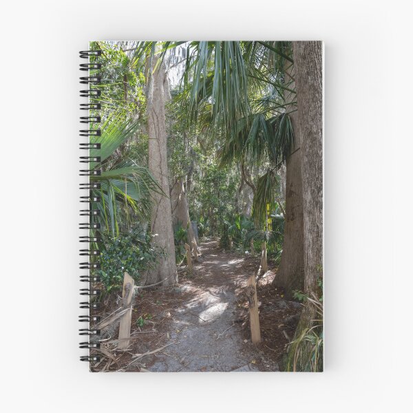 Item preview, Scenic Nature Trail in Palm Island Park, Mount Dora, Florida designed and sold by jrtwynam.