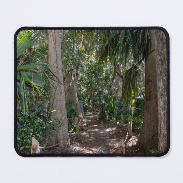 Item preview, Scenic Nature Trail in Palm Island Park, Mount Dora, Florida designed and sold by jrtwynam.