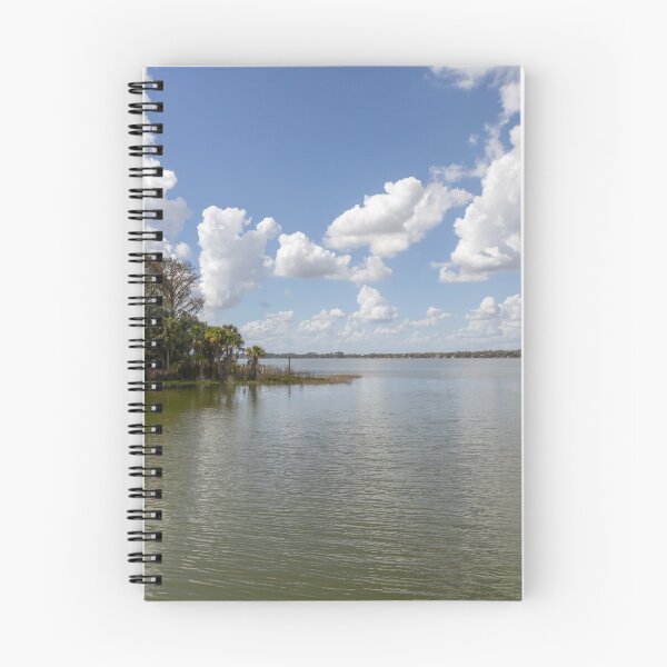 Item preview, Scenic View of Lake Dora at Palm Island Park, Florida designed and sold by jrtwynam.