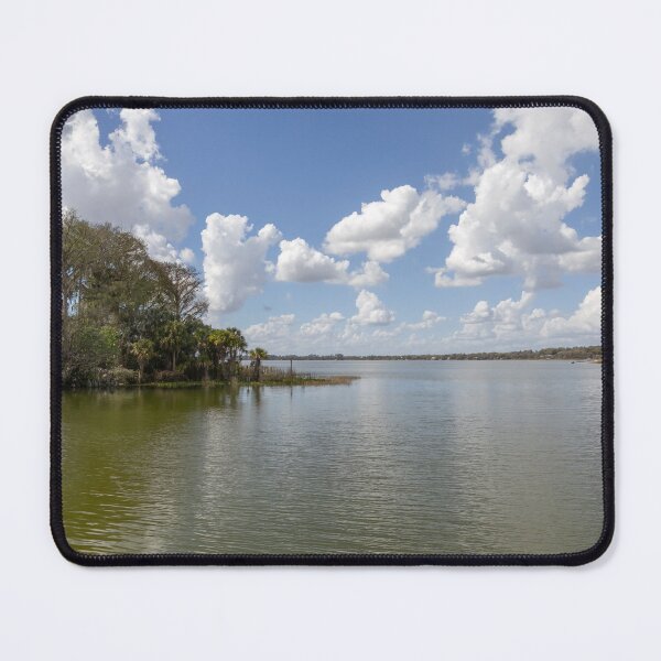 Item preview, Scenic View of Lake Dora at Palm Island Park, Florida designed and sold by jrtwynam.