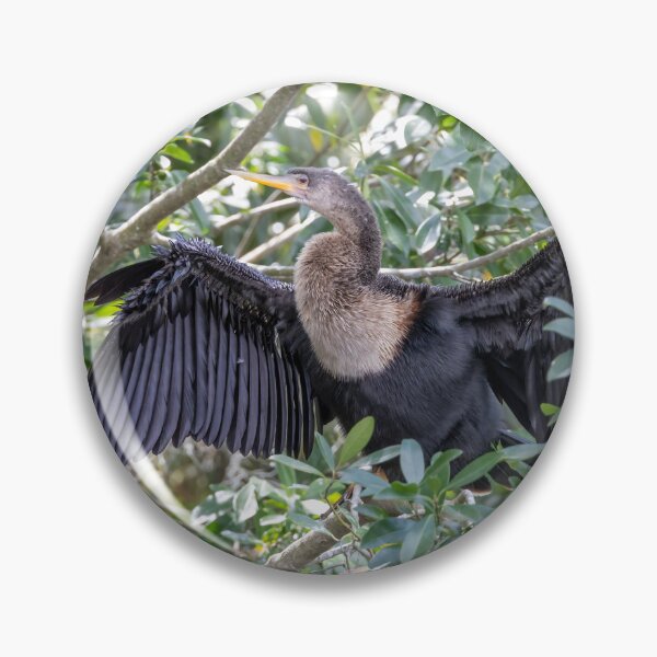 Item preview, Anhinga Bird Spreading Wings in Palm Island Park, Mt. Dora designed and sold by jrtwynam.