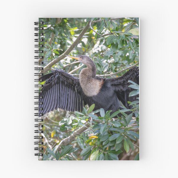 Item preview, Anhinga Bird Spreading Wings in Palm Island Park, Mt. Dora designed and sold by jrtwynam.