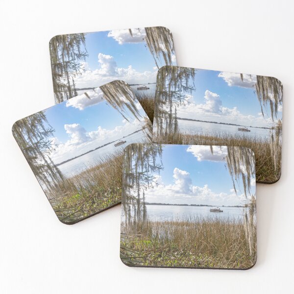 Item preview, Scenic View of Lake at Palm Island Park, Mt Dora, Florida designed and sold by jrtwynam.