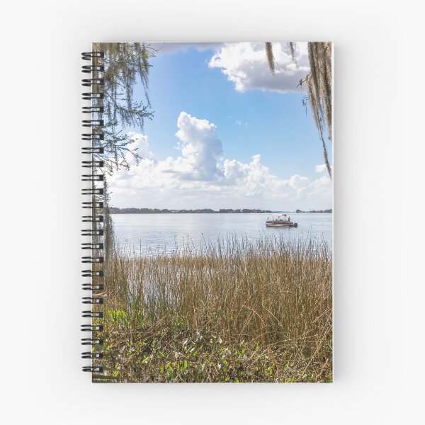 Item preview, Scenic View of Lake at Palm Island Park, Mt Dora, Florida designed and sold by jrtwynam.
