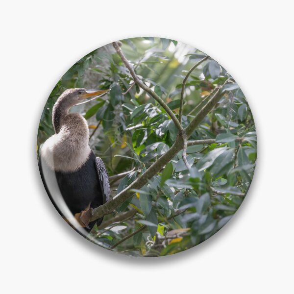 Item preview, Anhinga Perched in Palm Island Park, Mt Dora, Florida designed and sold by jrtwynam.