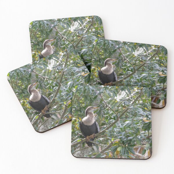 Item preview, Anhinga Perched in Palm Island Park, Mt Dora, Florida designed and sold by jrtwynam.