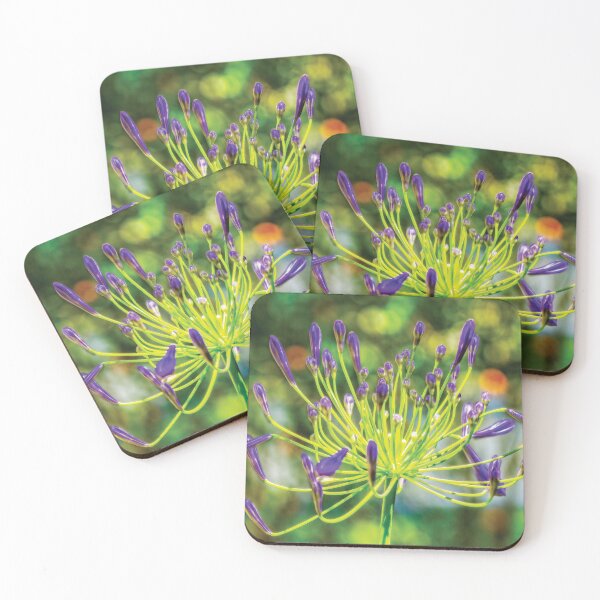 Item preview, Agapanthus designed and sold by Kay Brewer.