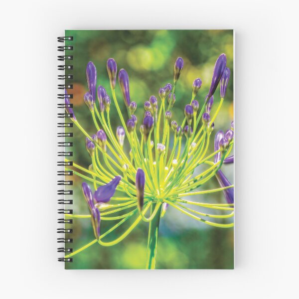 Item preview, Agapanthus designed and sold by Kay Brewer.